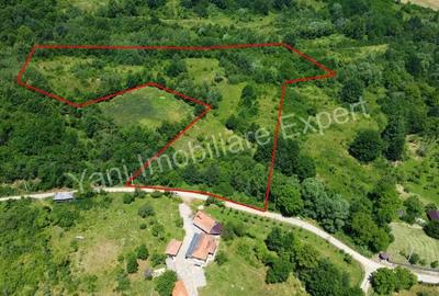 Teren de 20698 mp, în Valea lui Enache - 5