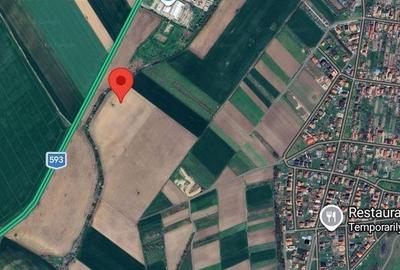 Spațiu comercial, în Șag - 1