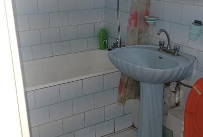 Colentina Teiul Doamnei - 4