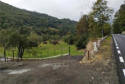 Teren de 4240 mp, în Lupșa - 3