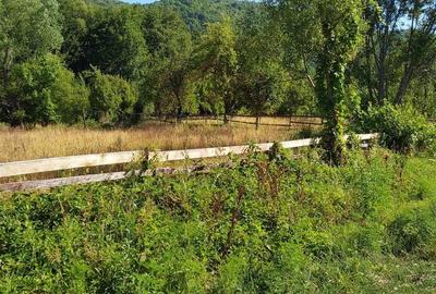 TEREN INTRAVILAN ZĂVOI\ZONA VALEA BISTREI, JUD.C-S - 6