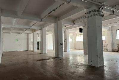 Spatiu depozitare si productie Cotroceni - 3