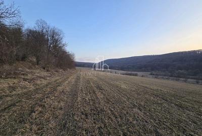 Teren de 28800 mp, în Sighișoara