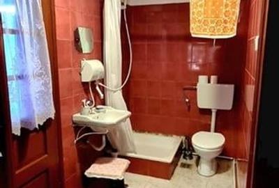 CASA CU TEREN 992 MP | SAT  SUPLACU DE TINCA | BIHOR - 10