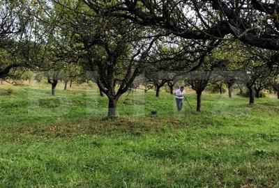 1.07 Ha in Slatinita - 2