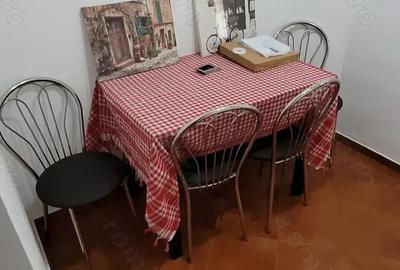 Apartament 2 camere Parter Baile Herculane - 8