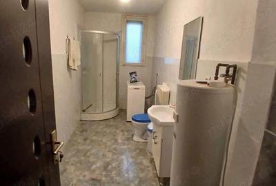 Casă cu 2 camere cu Teren 296 Mp în Teregova - 5