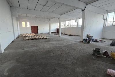 Spațiu comercial, de 950 mp, în Pictor Rosenthal - 4