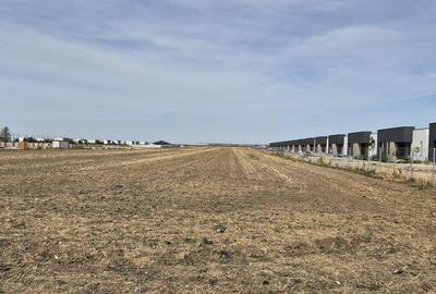 Teren de 16248 mp, în Domnești