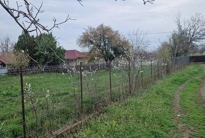 Casă cu 5 camere cu Teren 2200 Mp în Zăvoaia - 8