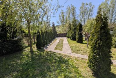 Casă cu 3 camere cu Teren 6500 Mp în Moșna - 8