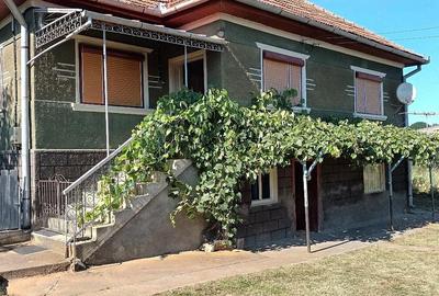 Casă cu Teren 2500 Mp în Mihăiești