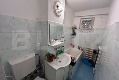 Apartament cu 2 camere semidecomandat în Craiovița Nouă - 8