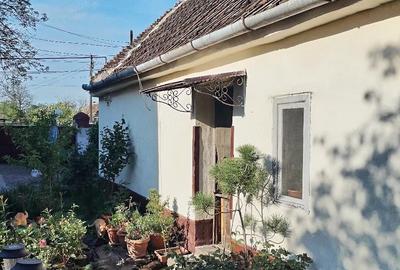 Casă cu 5 camere cu Teren 1100 Mp în Opatița - 4