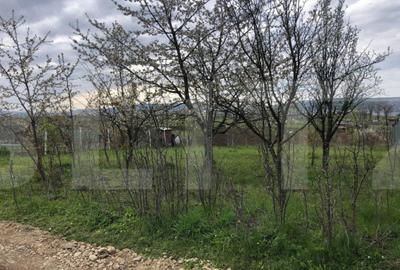 Teren de 606 mp, în Sopor - 5