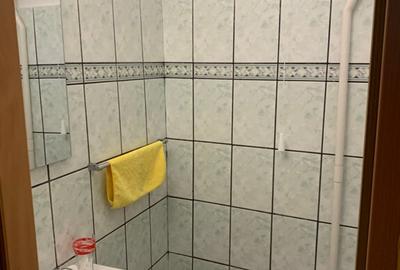 Apartament de inchiriat 3 camere zona Nufarul - 11