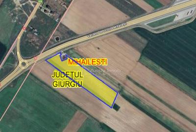 9 ha, Intravilan, Centura Mihailesti, Barter, Joint Venture - 3