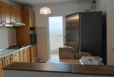 Primul chirias, Vedere superba asupra Parcului Natural Vacaresti - 6