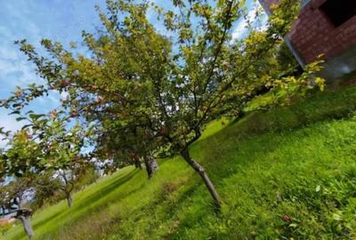 Casă cu 3 camere cu Teren 700 Mp în Dumbrăvița - 9