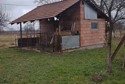 Casă cu 2 camere cu Teren 1950 Mp în Gothatea - 8