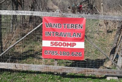 Vind teren in Slanic Prahova. - 1