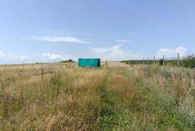 Teren agricol extravilan de 4527 mp, în Exterior Nord - 3