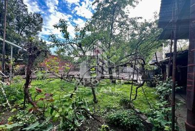 Casa cu 2 camere, 690mp in Battonya - 4