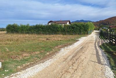 Teren 1000mp cu PUZ in Rasnov, Glajerie - 13