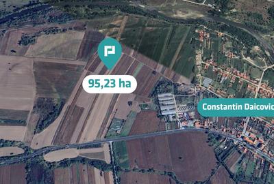 Teren agricol extravilan de 952372 mp, în Constantin Daicoviciu - 5