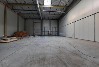 Spatiu Industrial - 1500 mp - Logistica - Productie - Depozitare - 23