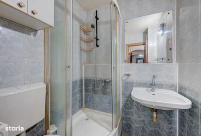 Apartament cu 4 camere în Decebal - 15