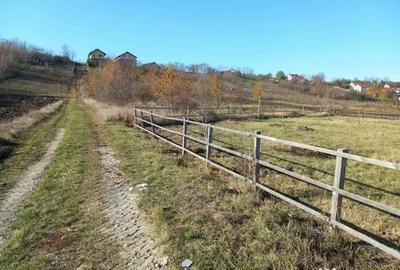 Teren de 735 mp, în Săucești - 6