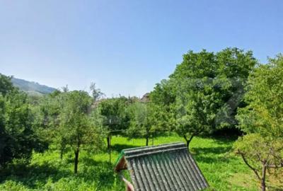 Casă cu 4 camere cu Teren 1860 Mp în Viișoara - 4