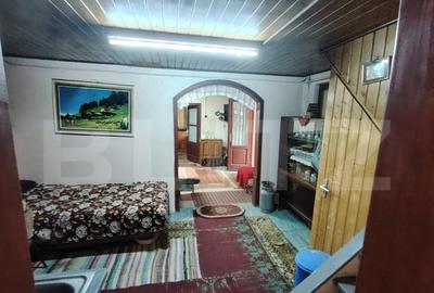 Cabana 5 camere Salard - 12