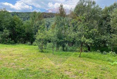 Teren intravilan (faneata) de vanzare  - 2231 mp, Telega, jud. Prahova - 7