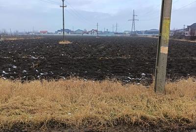 Spațiu comercial, în Central