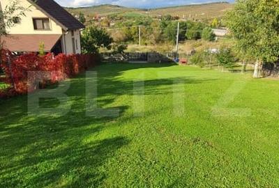 Cabana cu teren generos, 1824 mp, acces din 2 strazi – Livezeni - 3