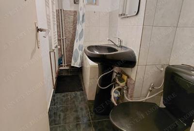 Apartament de inchiriat la parter- 2 camere cu centrala-Iulius Mall - 9