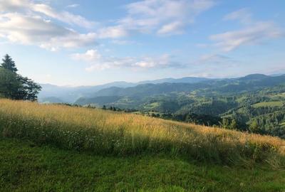 Teren Pestera Brasov 5000m - 2