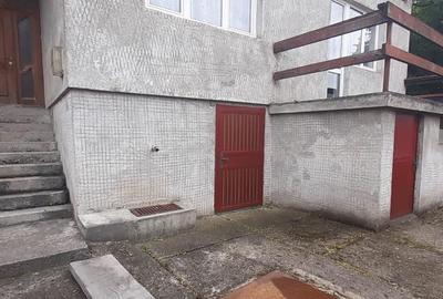 Baia Sprie, casa caramida - 9