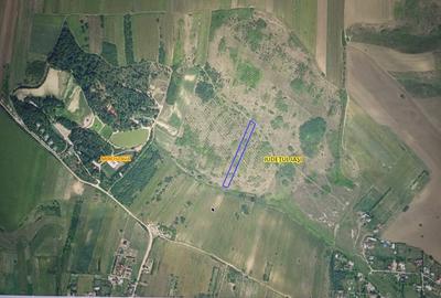 Vând teren extravilan Miroslava - 1