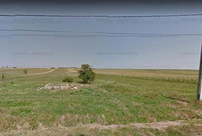 Spațiu comercial, în Straja - 3