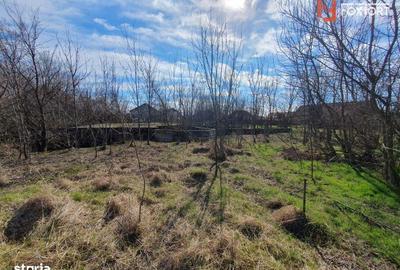 Teren de 2840 mp, în Jebel - 1