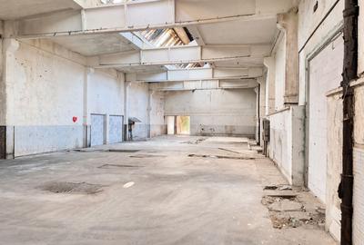 Spațiu industrial, în Sud - 2