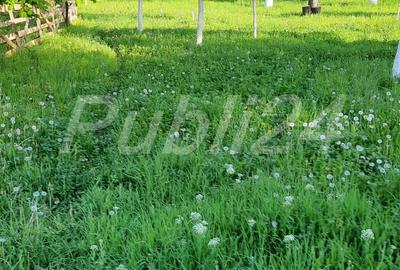 Casă cu 3 camere în Sălătrucel - 3