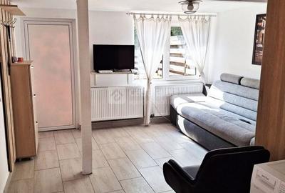 Bucium, apartament 1 camera cu terasa si garaj, la casa - 3