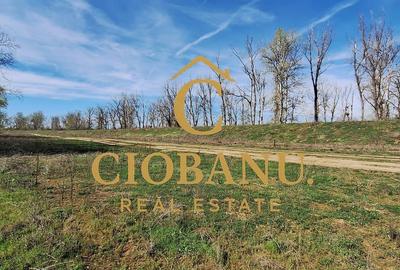 Casă cu 3 camere cu Teren 500 Mp în Bucovăț - 9