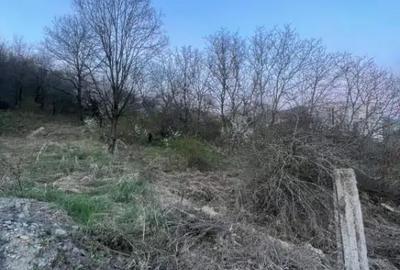 Teren în Independenței