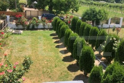 Vila 5 camere achizitie ideala pentru parinti sau familie - 19