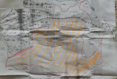 Vanzare 50 Ha pasune, judetul Prahova - 2